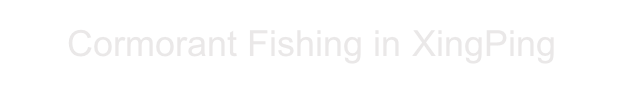Cormorant Fishing in XingPing
