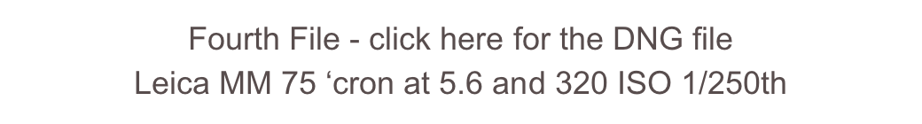 Fourth File - click here for the DNG file
Leica MM 75 ‘cron at 5.6 and 320 ISO 1/250th
