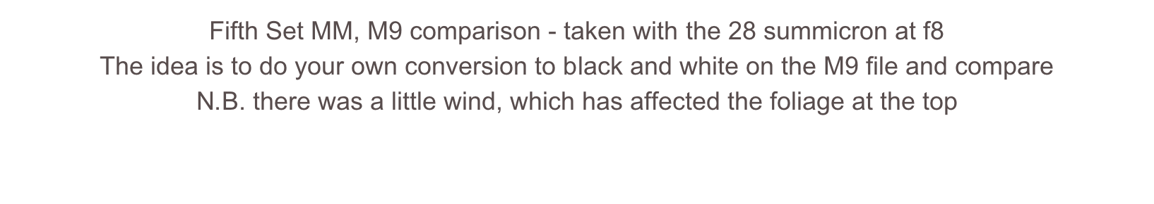 Fifth Set MM, M9 comparison - taken with the 28 summicron at f8
The idea is to do your own conversion to black and white on the M9 file and compare
N.B. there was a little wind, which has affected the foliage at the top
Click Here to download the M Monochrom DNG file
Click here to download the M9 DNG file