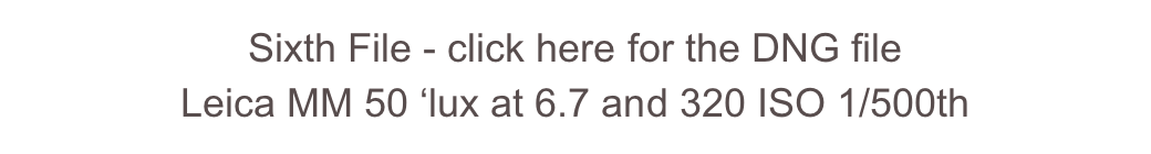 Sixth File - click here for the DNG file
Leica MM 50 ‘lux at 6.7 and 320 ISO 1/500th