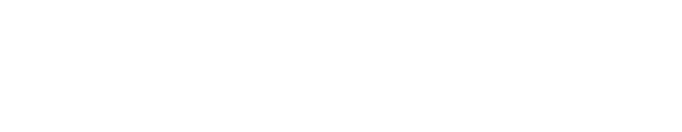 The Leica X2